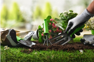 Herramientas de jardinería en el césped