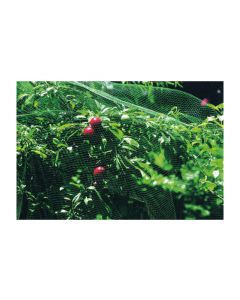 Malla anti-pajaro 8x10mt natuur verde nt118602 118602