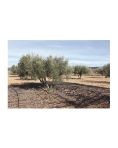 Malla recol. natuur nt128215 ne