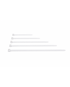 Brida nilon blanca 100 uds 4,8 x 290 nivel