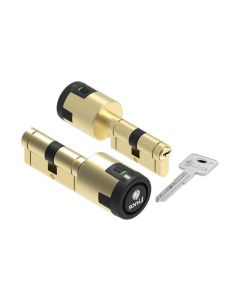 Cilindro seguridad leva larga con alarma 5 llaves 30x40mm latonado cplus alarm l