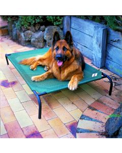 Cama mascota l verde 130x80x20cm hasta 45kg coolaroo
