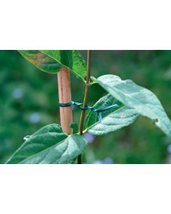 Alambre atadura jardin alma alambre verde 25 m