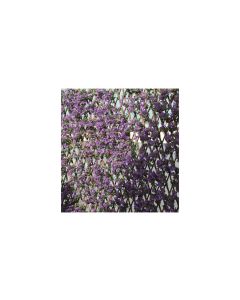 Celosia extensible mimbre lila 01x1,5m novagarden