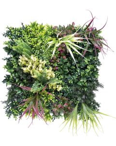 Jardin vertical belice a 50 x 50 cm