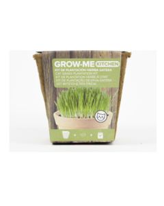 Semillas hierba gatos the garden people 10 gr