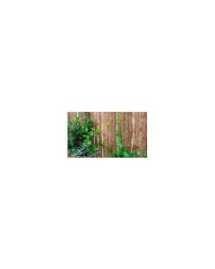 Corteza simple cara 2 x 3 m novagarden