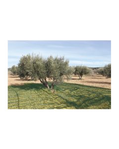 Malla para recolectar aceitunas dark green 80gr 06x10m natuur