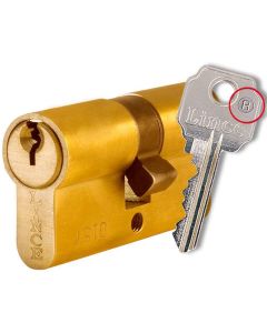 Cilindro leva larga iberdrola zona centro 30x10mm laton c053010lic lince c053010lic