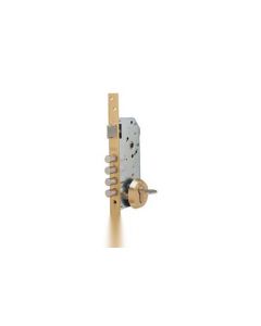 Cerradura seguridad madera embutir 1 punto 50mm escudo e700 pintado oro tesa r100b566e