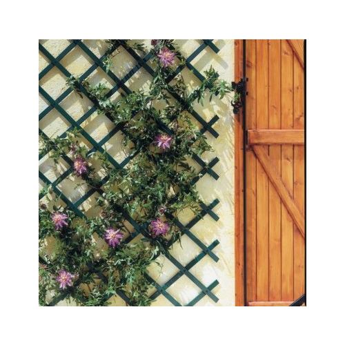 ⇒ Comprar Celosia jardin 1x2mt verde nortene ▷ Más de 200