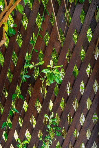 Primer plano de una celosía para jardín ya instalada